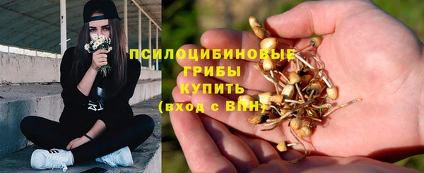герыч Балахна